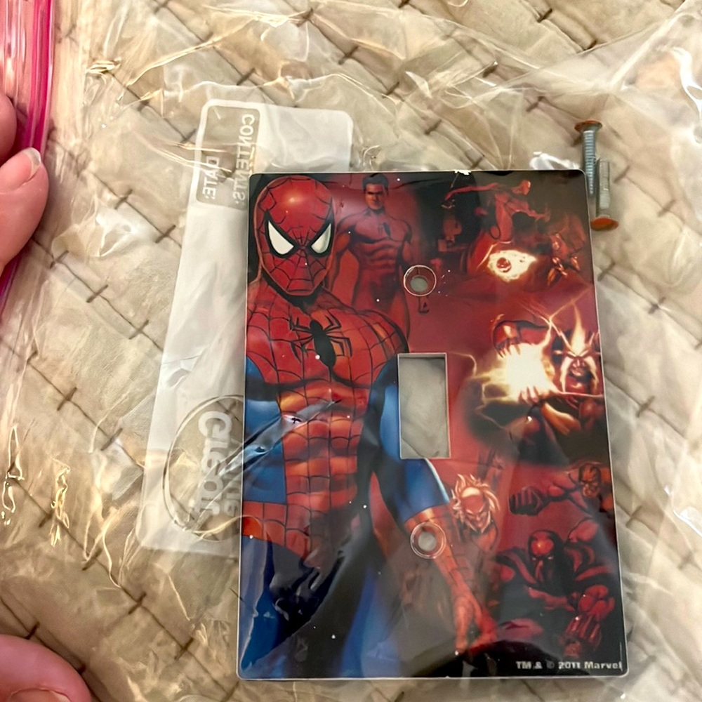 Spider-Man plate